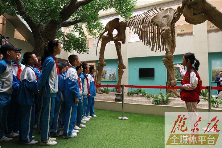 【第一眼】慶陽市博物館開展多項活動慶?！?·18國際博物館日”
