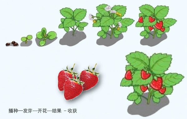 【防疫科普】如何利用園藝療法保持復(fù)工后身心健康？