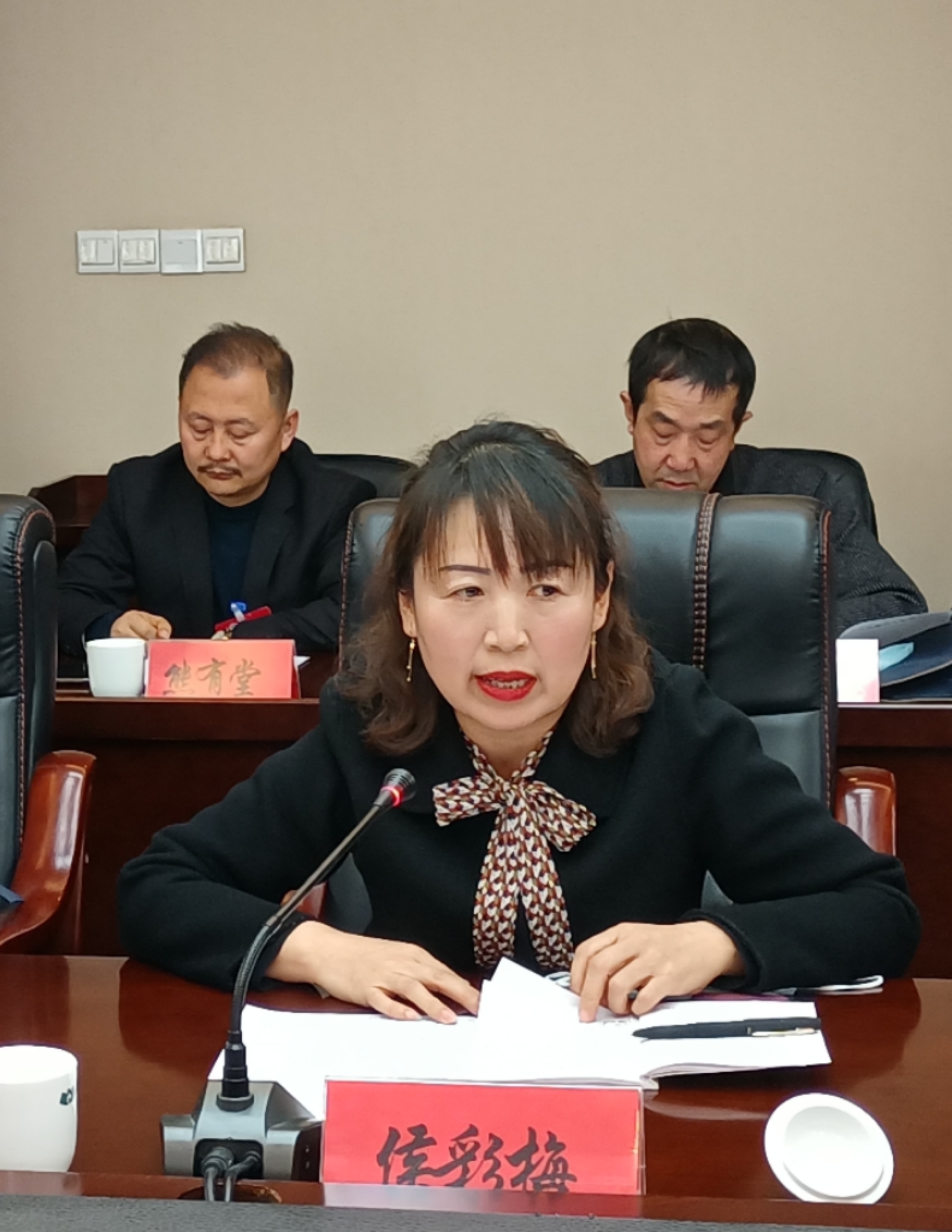 侯彩梅委員在討論發(fā)言時(shí)就規(guī)范農(nóng)村中小學(xué)體育教學(xué)提出了建議。