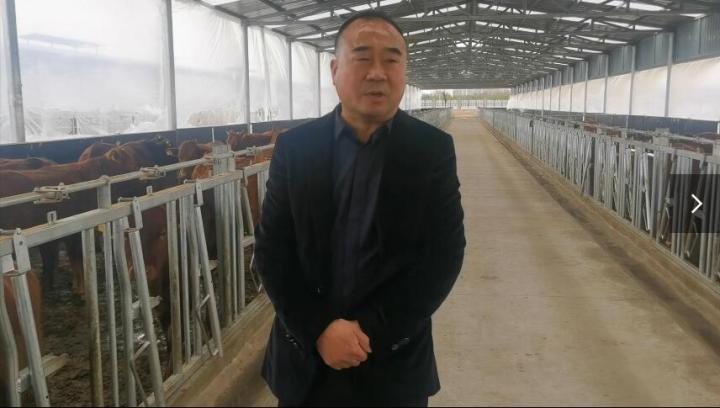 【脫貧攻堅我來見證】項祖地：讓“早勝?！逼放谱叱龈拭C  走向全國