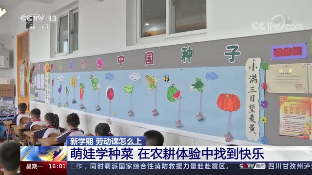 新學(xué)期，勞動課怎么上？央視《新聞直播間》關(guān)注北師大慶陽附校農(nóng)耕體驗(yàn)課