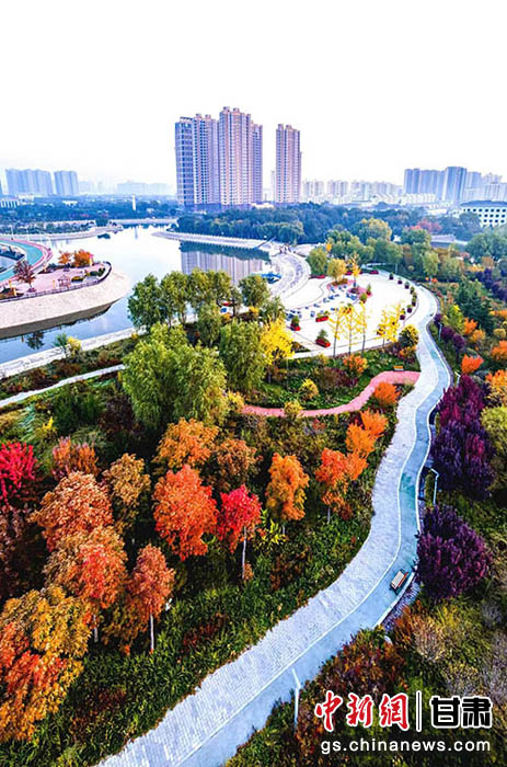 秋日的慶陽(yáng)市城市海綿運(yùn)動(dòng)綠地色彩斑斕。張應(yīng)君 攝