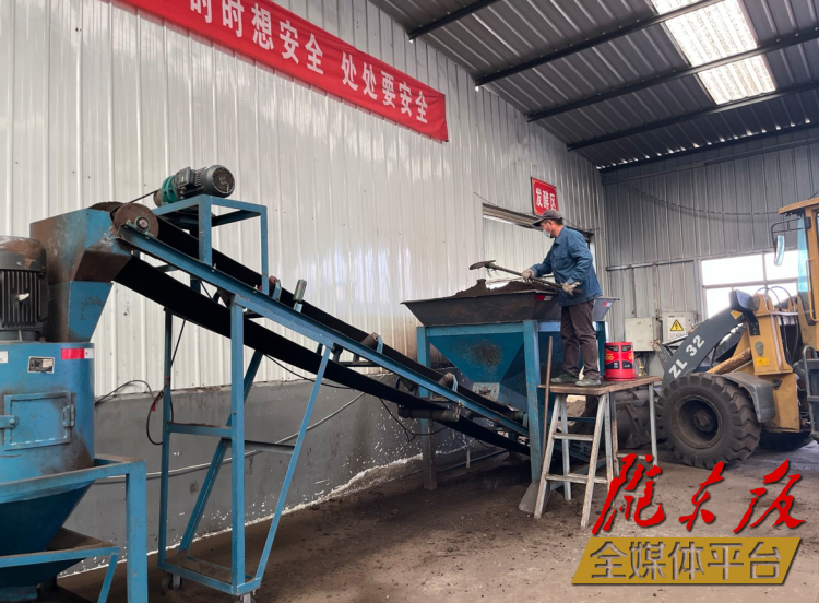 合水縣充分利用當(dāng)?shù)匦笄菁S便及秸稈回收的有機肥料“變廢為肥”。本報記者 劉萍凝 攝