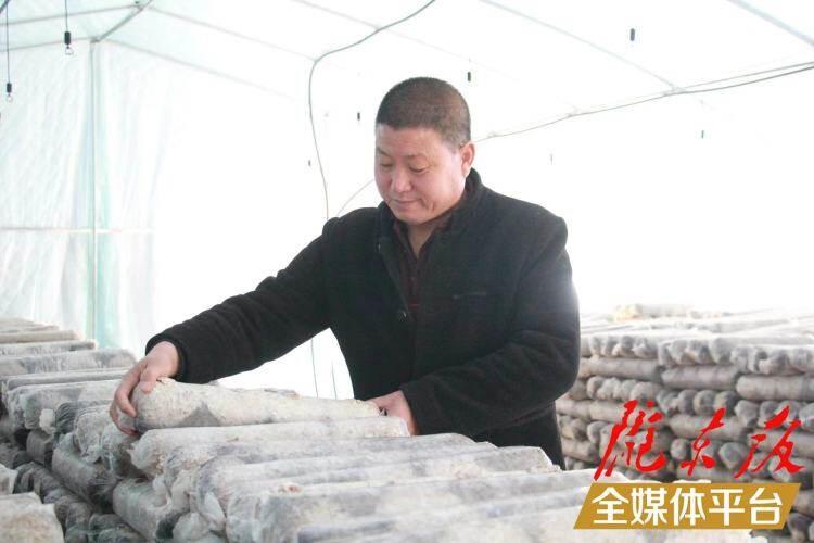 西峰區(qū)后官寨鎮(zhèn)司官寨村食用菌基地，工作人員在整理菌棒。本報記者 南力 攝