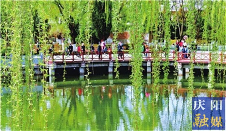 一點(diǎn)慶陽 | 忽然春來（康?。?>

                        <div   id=