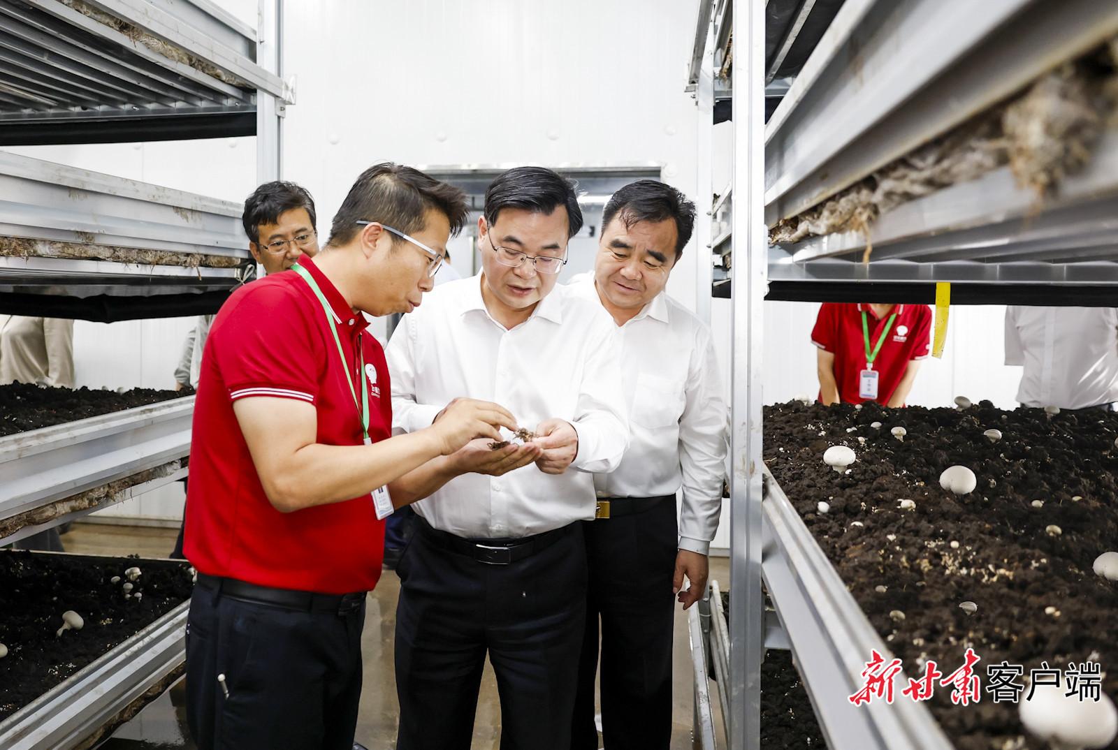 胡昌升在慶陽市調研時強調：加快高質量發(fā)展持續(xù)增進民生福祉 奮力開創(chuàng)革命老區(qū)全面振興新局面
