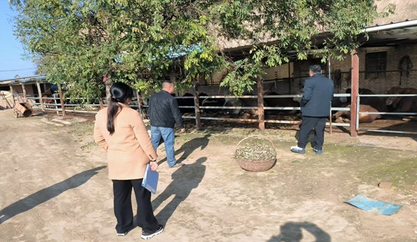 慶城縣圓滿完成2024年示范家庭農(nóng)場 補(bǔ)助項(xiàng)目縣級(jí)驗(yàn)收