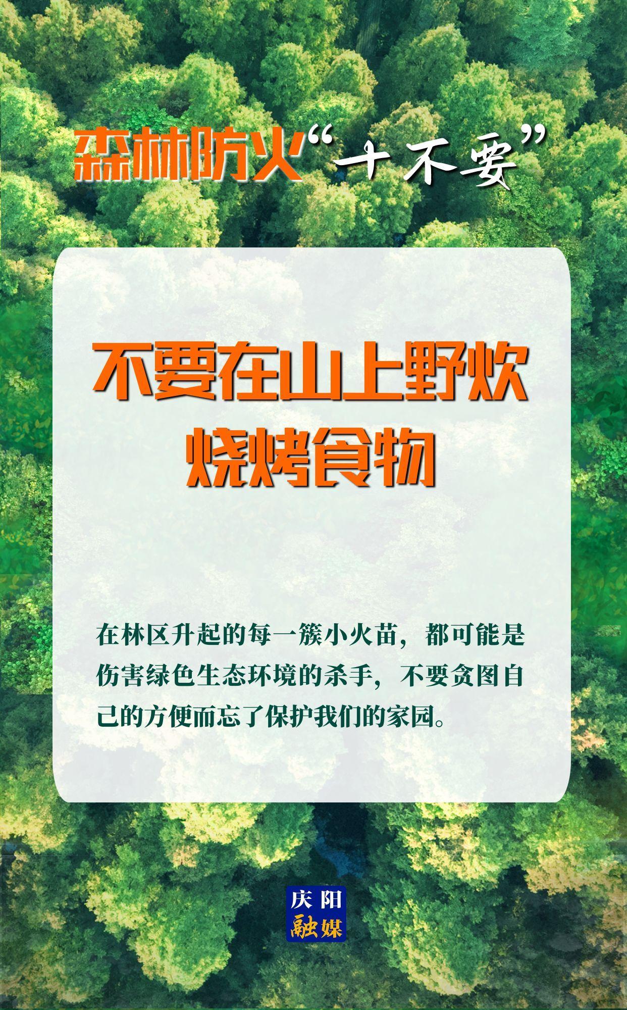 【微海報(bào)】森林防火“十不要”③丨不要在山上野炊、燒烤食物