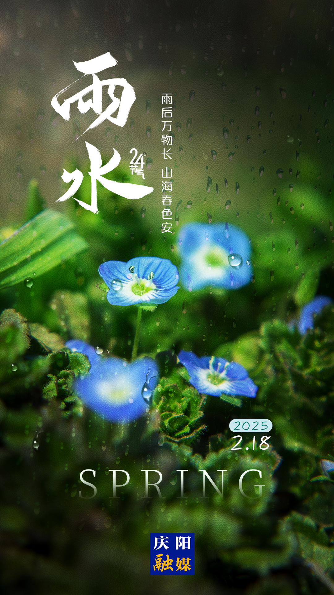 【二十四節(jié)氣·雨水】長圖 | 好雨知時(shí)節(jié) 當(dāng)春乃發(fā)生
