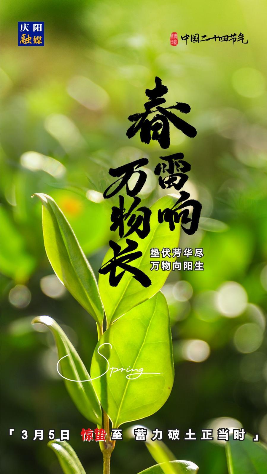 【微海報】二十四節(jié)氣丨驚蟄至，蓄力破土正當(dāng)時