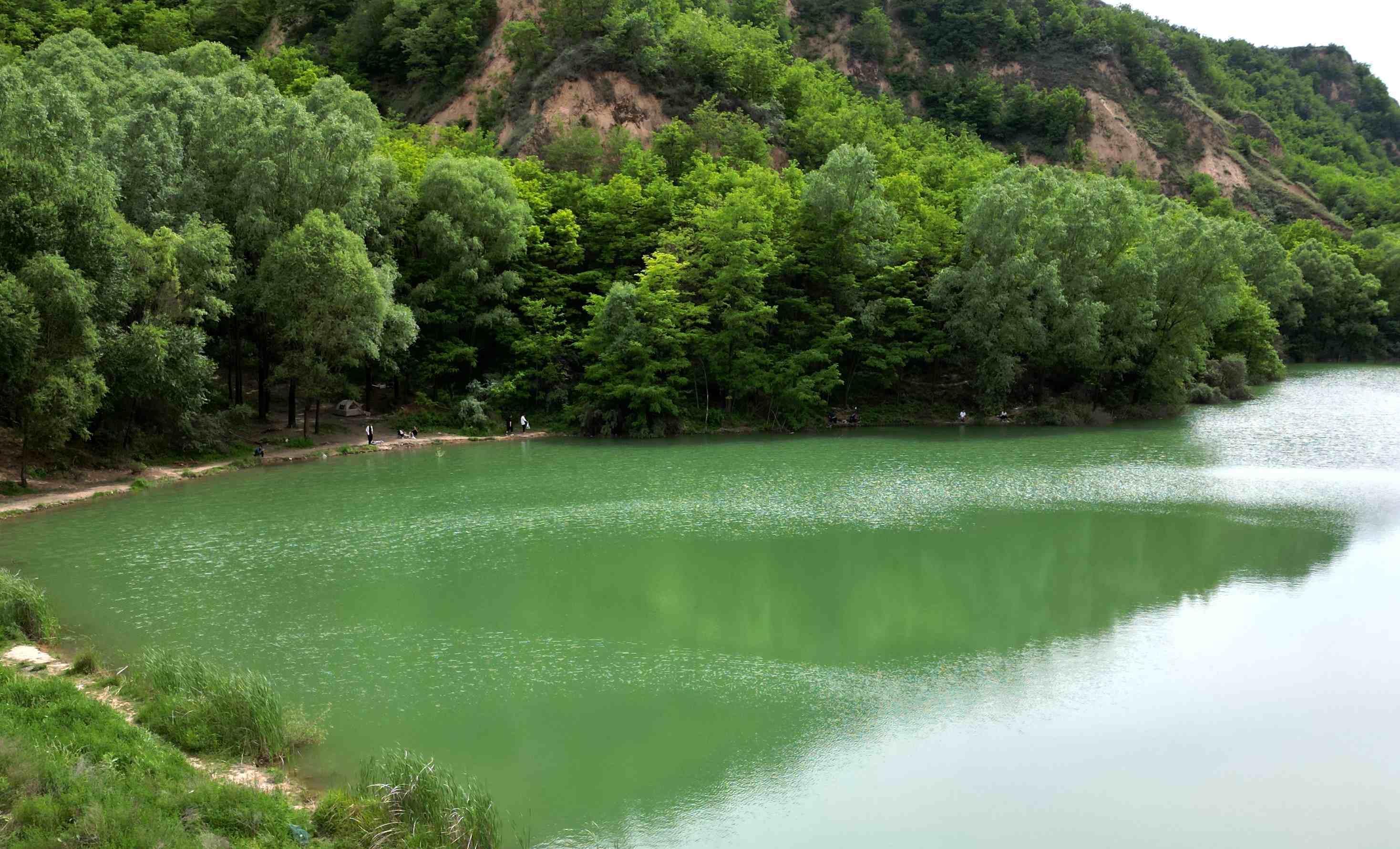 水保工程讓慶陽(yáng)市群眾長(zhǎng)享“綠色福利”