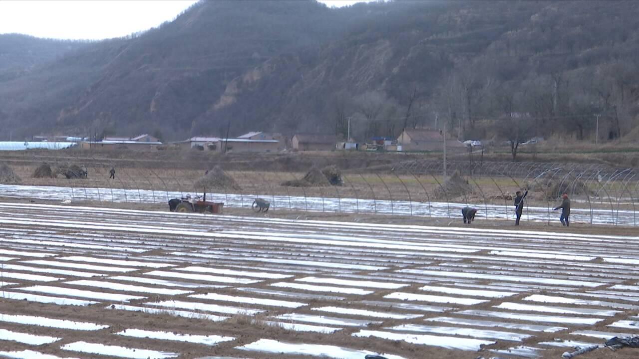 合水縣及早部署春耕生產(chǎn) 今年全縣春播糧食作物計劃面積15萬畝