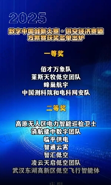 【V視】2025數(shù)字中國(guó)創(chuàng)新大賽·低空經(jīng)濟(jì)賽道方案賽獲獎(jiǎng)名單公布