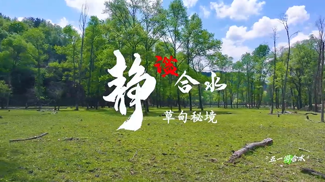 【五一游慶陽】靜謐合水︱合水縣太莪鄉(xiāng)草甸秘境等你來打卡！
