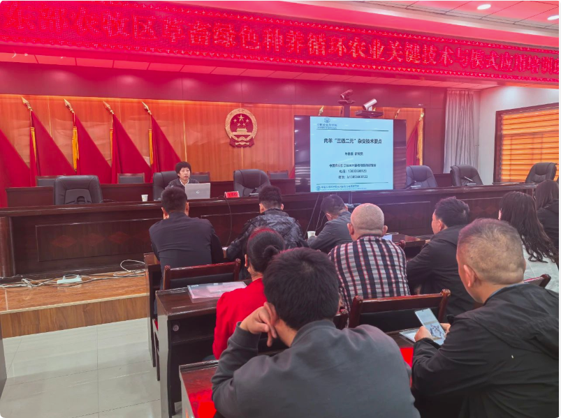 QQ_1746583617559.png