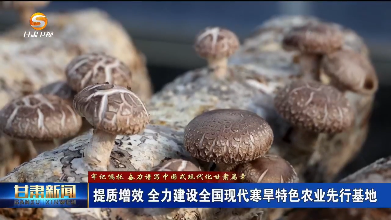 （牢記囑托 奮力譜寫中國(guó)式現(xiàn)代化甘肅篇章）提質(zhì)增效 全力建設(shè)全國(guó)現(xiàn)代寒旱特色農(nóng)業(yè)先行基地